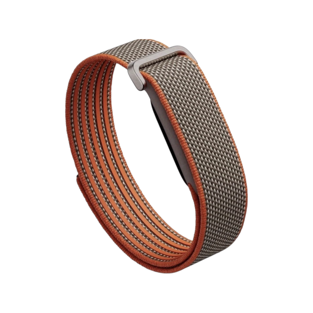 Fitbit Air