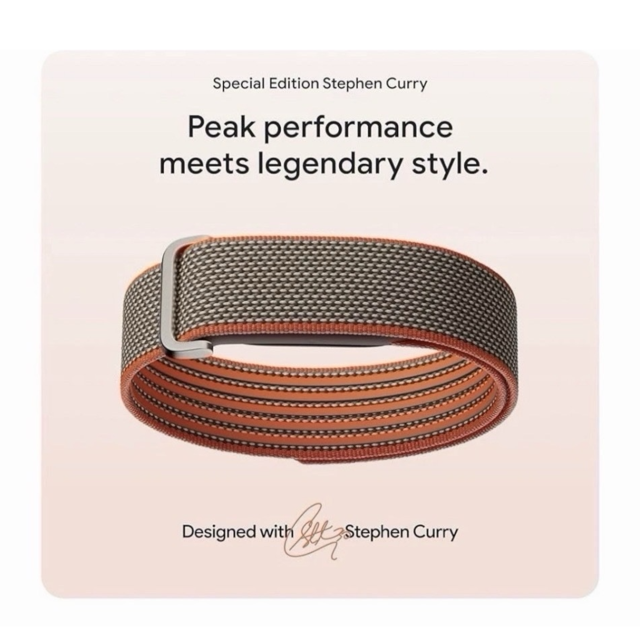 Fitbit Air