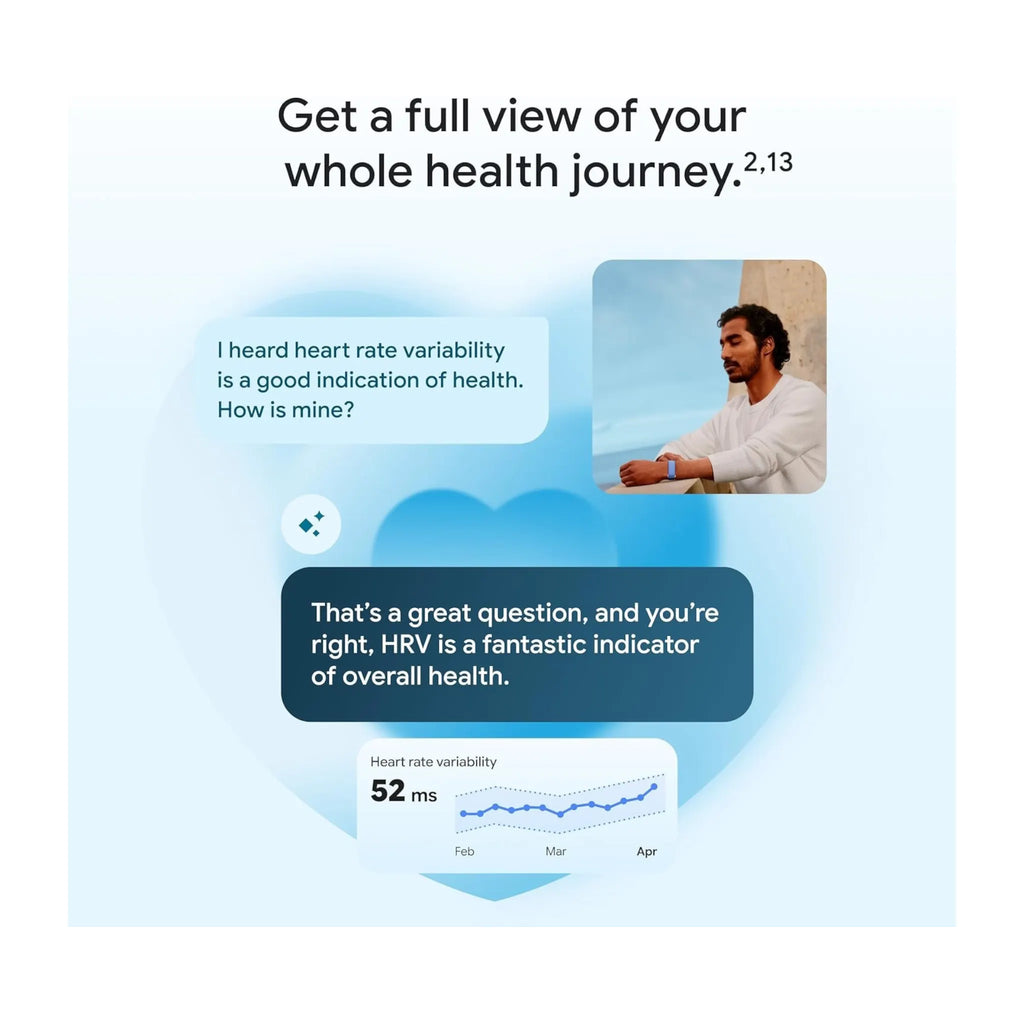 Fitbit Air